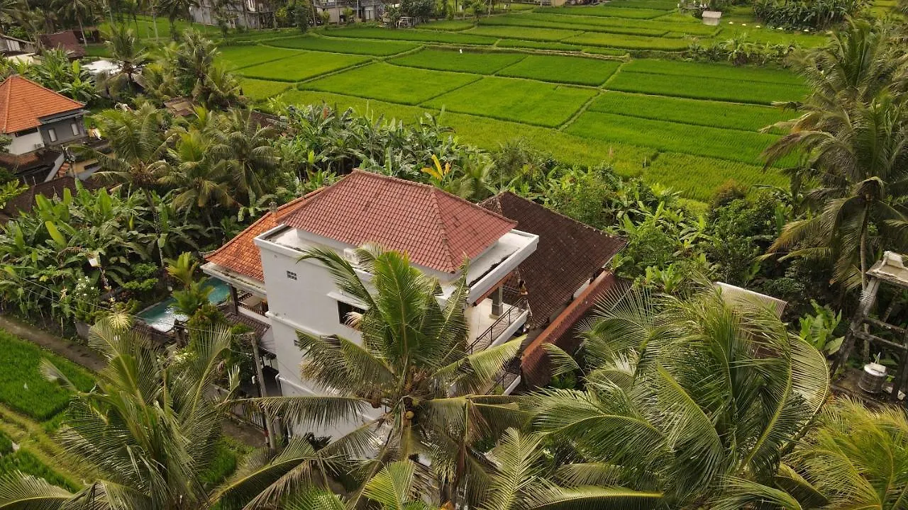 Nirwa Ubud Homestay 0*, 우붓 인도네시아